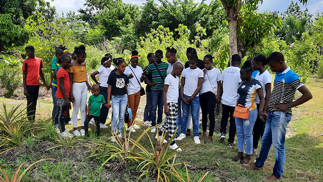 Éducation environnementale